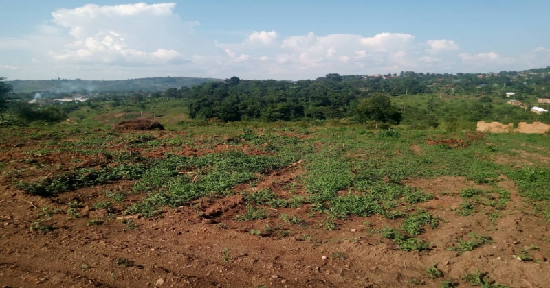 Kakiri, Wakiso NAKYERONGOSA, ,Residential plot,For Sale,1100