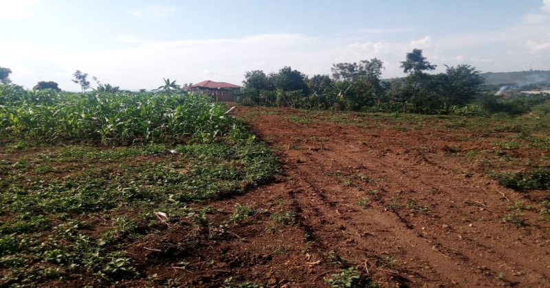 Kakiri, Wakiso NAKYERONGOSA, ,Residential plot,For Sale,1100