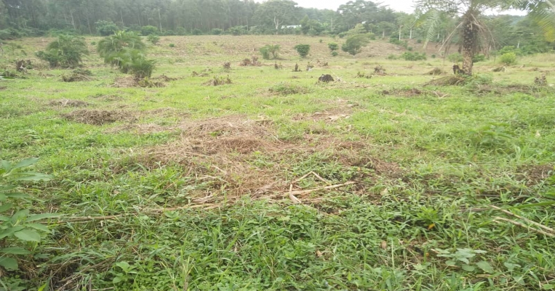 KIWAWU, Mityana Kiwawu, ,Residential plot,For Sale,1103