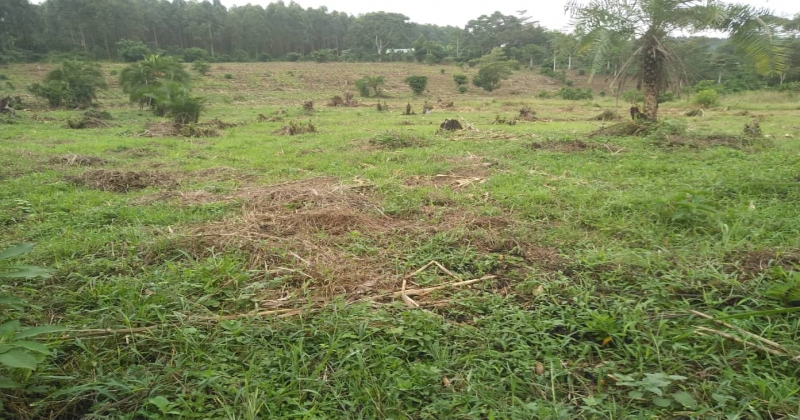 KIWAWU, Mityana Kiwawu, ,Residential plot,For Sale,1103