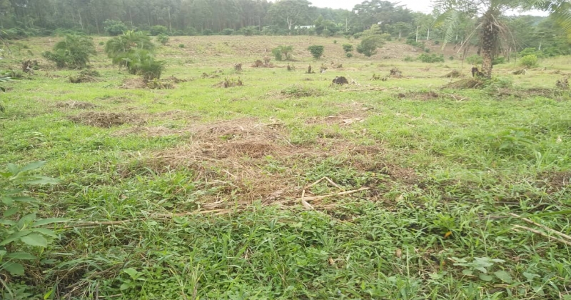 KIWAWU, Mityana Kiwawu, ,Residential plot,For Sale,1103