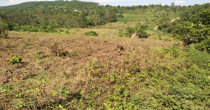 KIWAWU, Mityana Kiwawu, ,Residential plot,For Sale,1103