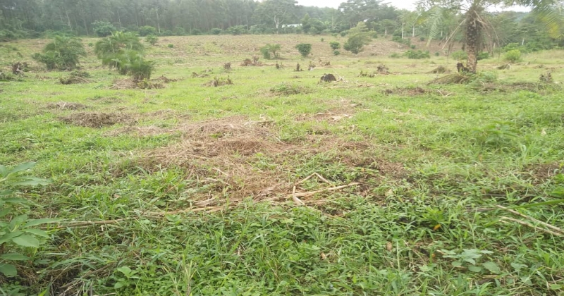 KIWAWU, Mityana Kiwawu, ,Residential plot,For Sale,1103