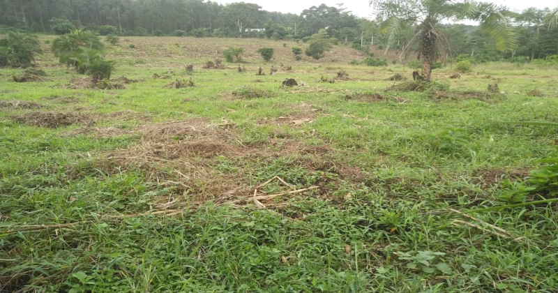 KIWAWU, Mityana Kiwawu, ,Residential plot,For Sale,1103