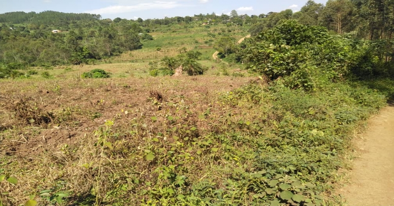 KIWAWU, Mityana Kiwawu, ,Residential plot,For Sale,1103