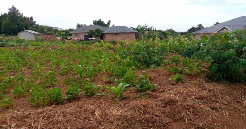 Buwambo, Wakiso Buwambo, ,Residential plot,For Sale,1114