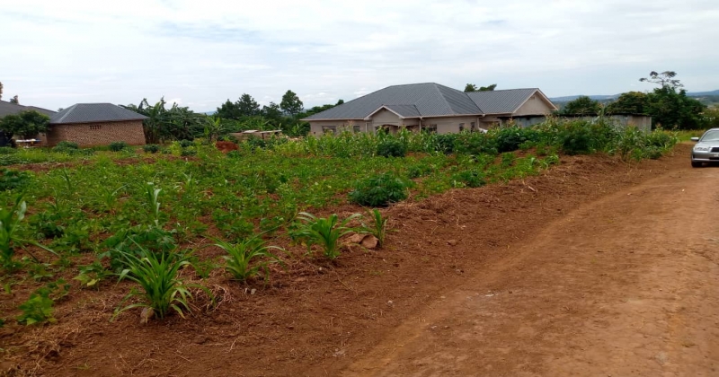 Buwambo, Wakiso Buwambo, ,Residential plot,For Sale,1114