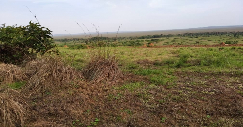 Kamengo, MPIGI Kamengo, ,Residential plot,For Sale,1123