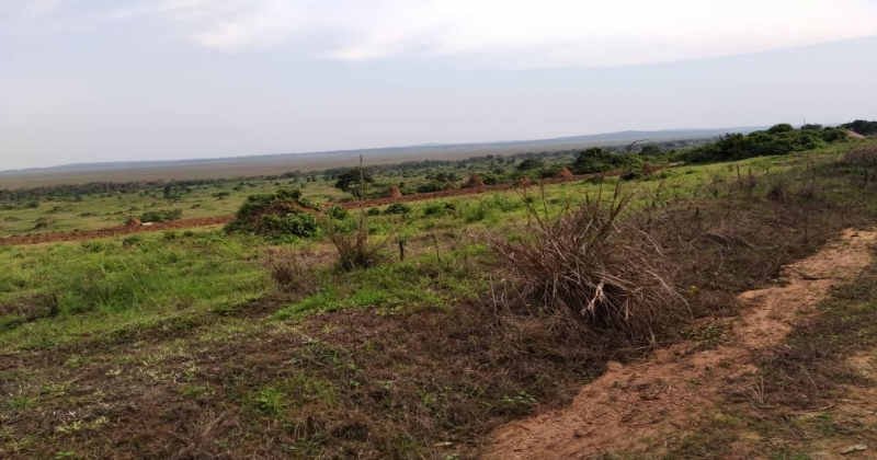 Kamengo, MPIGI Kamengo, ,Residential plot,For Sale,1123