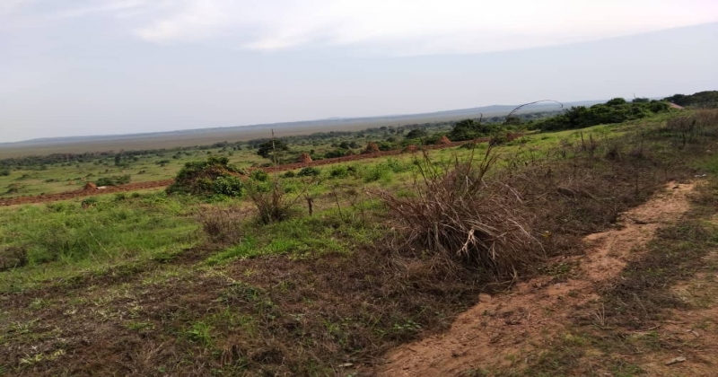 Kamengo, MPIGI Kamengo, ,Residential plot,For Sale,1123