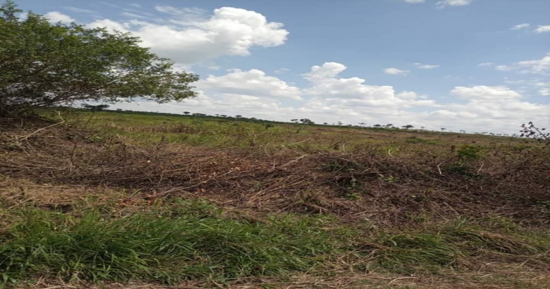 Kalamba, Mityana KIRYAMENVU, ,Residential plot,For Sale,1124