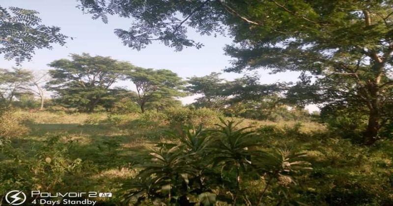 Kalamba, Mityana KIRYAMENVU, ,Residential plot,For Sale,1124