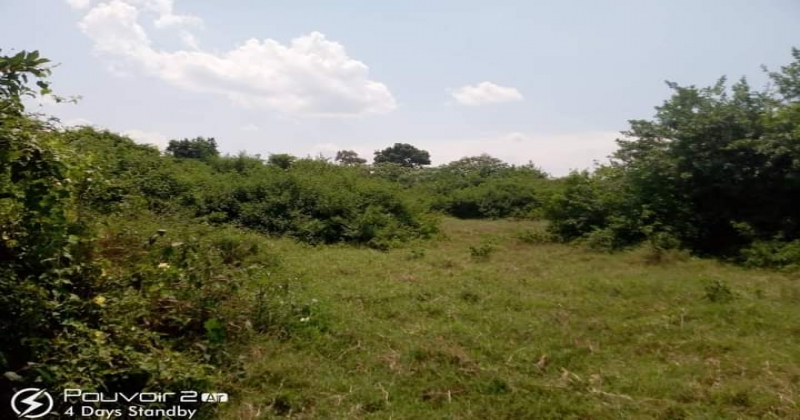 Kalamba, Mityana KIRYAMENVU, ,Residential plot,For Sale,1124