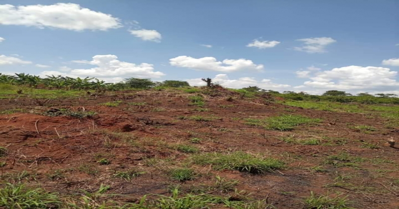 Kalamba, Mityana KIRYAMENVU, ,Residential plot,For Sale,1124